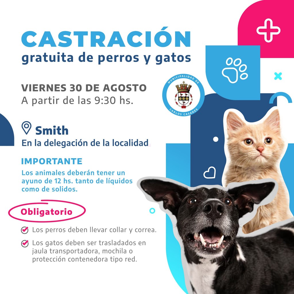 Zoonosis | Castración en SMITH