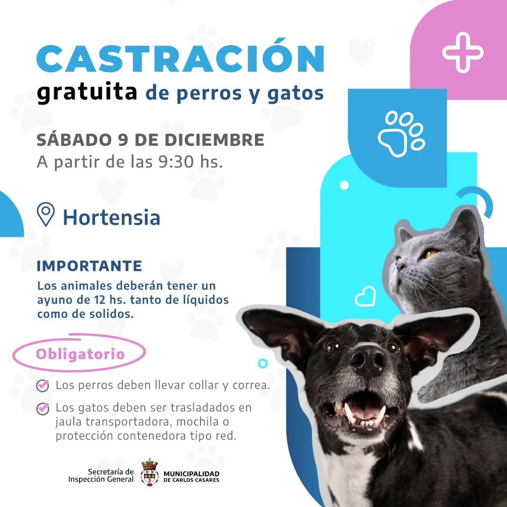 Castración gratuita de perros y gatos en Hortensia